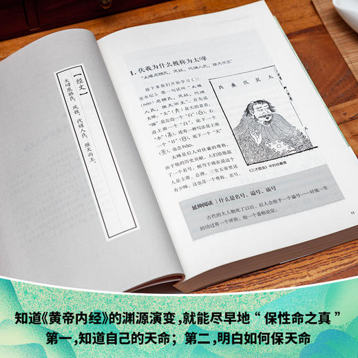 徐文兵讲黄帝内经前传 商品图7