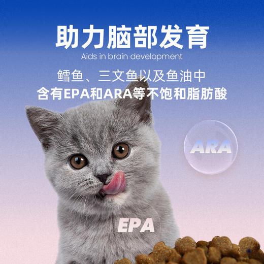 布兰德营养学加全价猫粮幼猫奶糕粮全价奶糕粮 商品图4