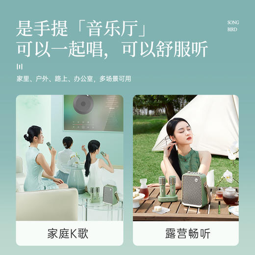 Divoom 家庭KTV 音响套装 东方青鸾 商品图3