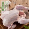 【牧族】 无抗生鲜老母鸡 202项指标零检 无抗健康老母鸡 无抗煲汤老母鸡现宰直发去内脏净鸡1100g-1300g左右/只 商品缩略图2
