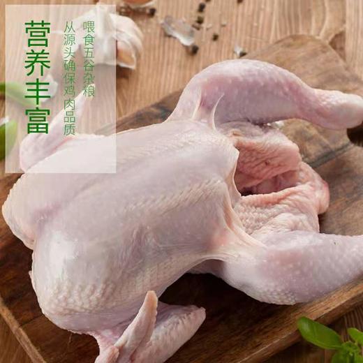 【牧族】 无抗生鲜老母鸡 202项指标零检 无抗健康老母鸡 无抗煲汤老母鸡现宰直发去内脏净鸡1100g-1300g左右/只 商品图2
