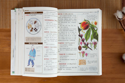 白话版：图解千金方 商品图8