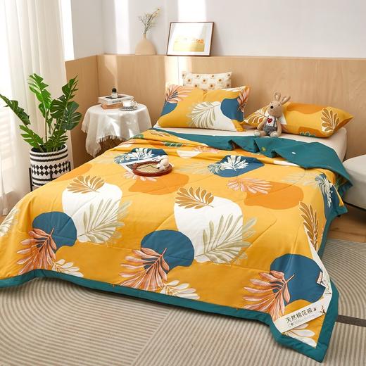 QYN-DNY棉花夏被里外双面纯棉夏凉被薄被可机洗单双人夏季被子全棉空调被 商品图1