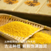 草原汇香 毛毛谷有机小米 商品缩略图4