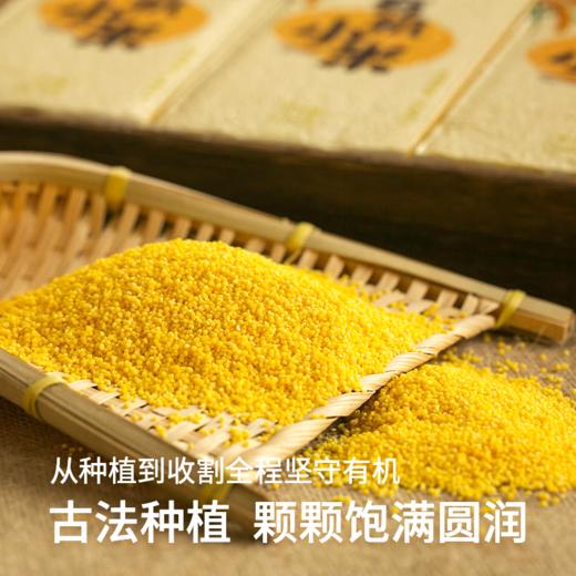 草原汇香 毛毛谷有机小米 商品图4