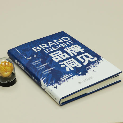 品牌洞见 严桢 北京大学出版社 商品图3