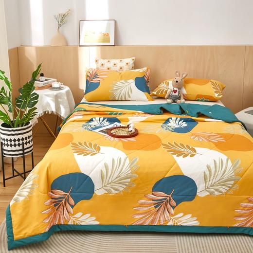 QYN-DNY棉花夏被里外双面纯棉夏凉被薄被可机洗单双人夏季被子全棉空调被 商品图3