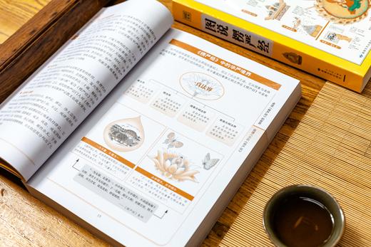 图说楞严经 商品图7