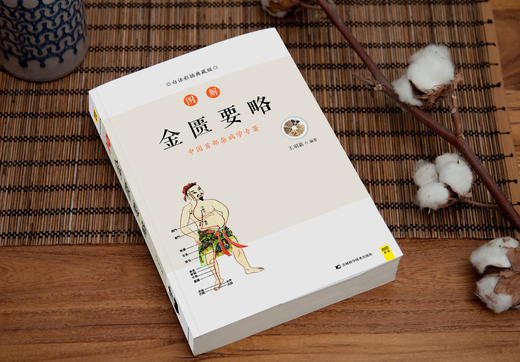 白话版：图解金匮要略   张仲景著，王羽嘉编著 商品图2