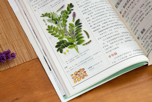 白话版：图解千金方 商品图6
