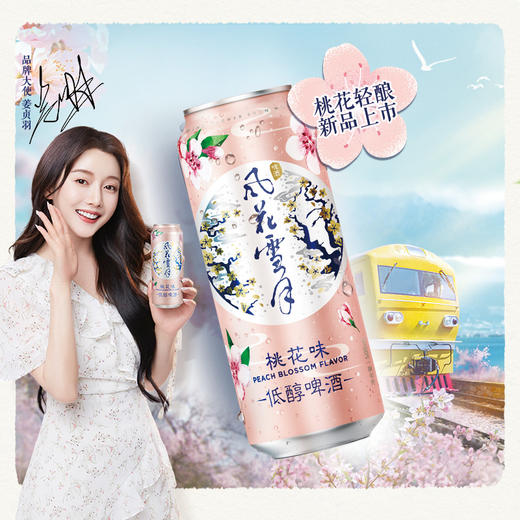 【部分地区缺货】嘉士伯畅饮套装500ml*12罐（1664桃红啤酒*6+风花雪月桃花味*6）新旧包装随机发 商品图1