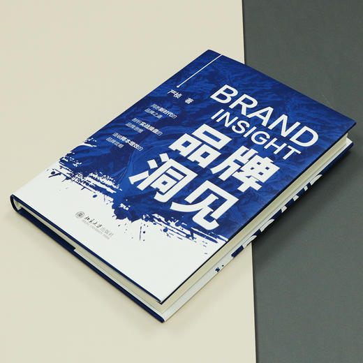 品牌洞见 严桢 北京大学出版社 商品图2