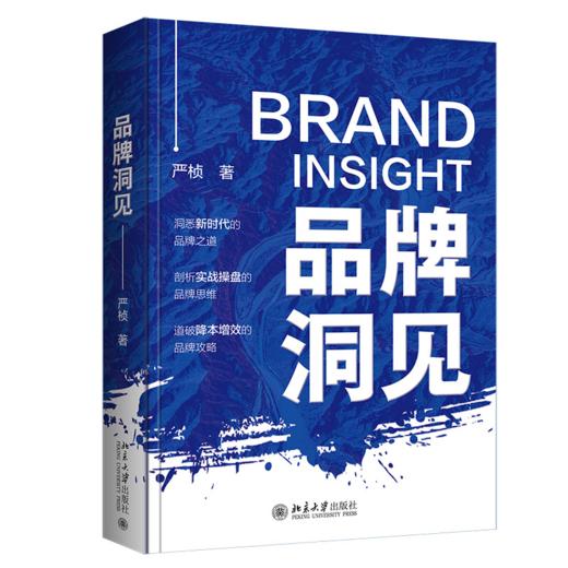 品牌洞见 严桢 北京大学出版社 商品图0