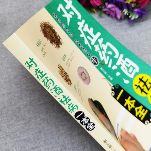 【9.9元包邮】对症药酒祛病一本全配方制法用法和功效保健养生中医药草药偏方中药养生保健书籍零基础入门基础科学理论制作调配制方法大全 商品图4