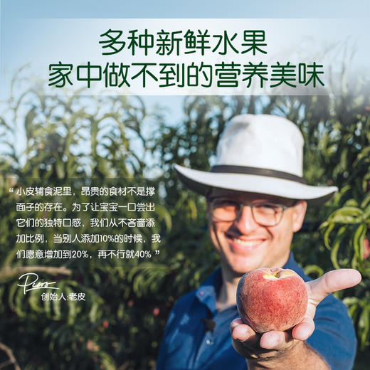 LittleFreddie小皮果蔬泥100g （多种口味） 商品图2