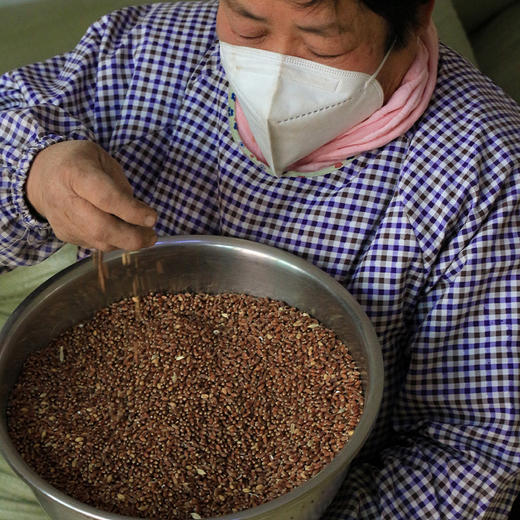 杨大姐的可发芽黑小麦 二米饭推荐（2斤/3斤）坚持自然农法种植 无化肥农药 发芽率高（衡水饶阳圆通发货） 商品图1