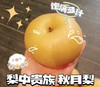 周五配送！秋月梨🍐水分足，秋天的第一口，梨子届的顶级精品！！脆如冰，嫩无渣，口口爆汁不愧是“加了糖的矿泉水”😋甜度13+一切都值得等待🌈规格：5.5斤/箱 商品缩略图2