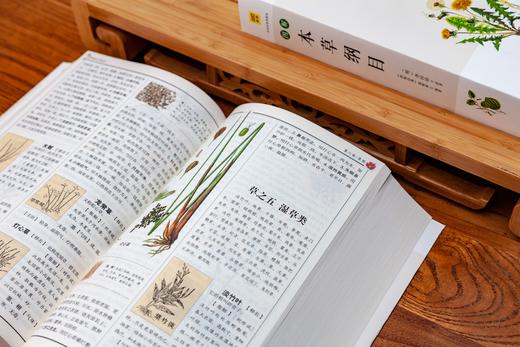 白话版：图解本草纲目 商品图5