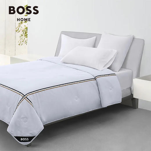 【分仓直发包邮】BOSS素色彩条纤维被HBXW-053S 商品图0