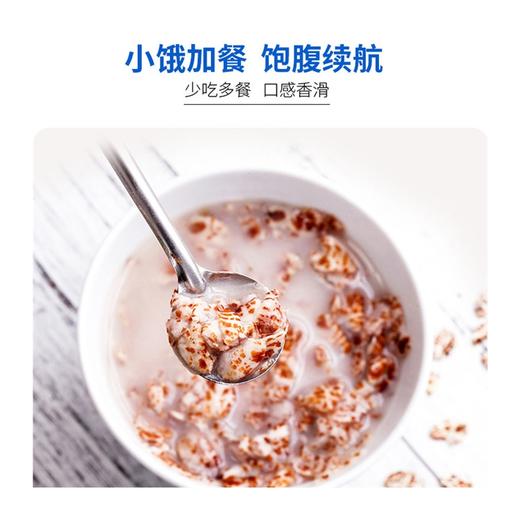 DGI低GI黑麦片孕妇营养早餐即食饱腹代餐谷物冲饮食品 商品图3