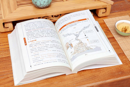 图解黄帝内经·素问   王羽嘉著 商品图6