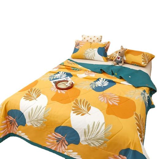 QYN-DNY棉花夏被里外双面纯棉夏凉被薄被可机洗单双人夏季被子全棉空调被 商品图4