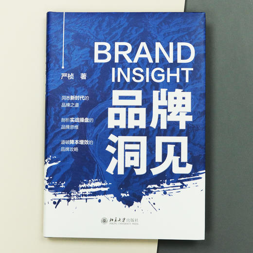 品牌洞见 严桢 北京大学出版社 商品图4