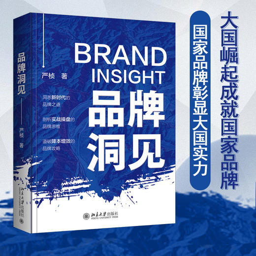 品牌洞见 严桢 北京大学出版社 商品图1