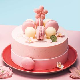 花花马卡龙6#