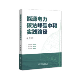 能源电力碳达峰碳中和实践路径