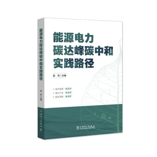 能源电力碳达峰碳中和实践路径 商品图0