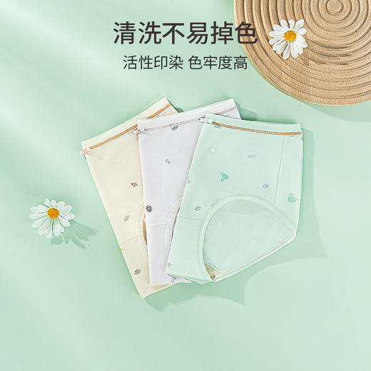 雅黛丽内裤女时尚印花夏季薄款中腰三角裤棉质亲肤透气短裤头 商品图4