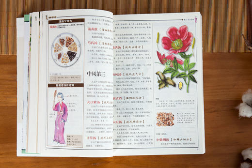 白话版：图解千金方 商品图7