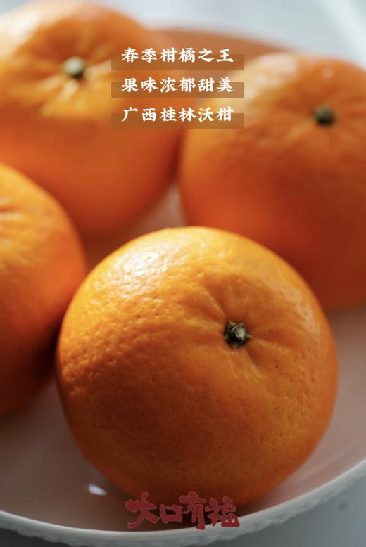 【春季柑橘挚爱 爆汁小炸弹 】2025新产季 不打药的桂林沃柑 柑橘爆汁小炸弹 商品图0