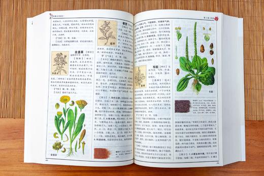 白话版：图解本草纲目 商品图8
