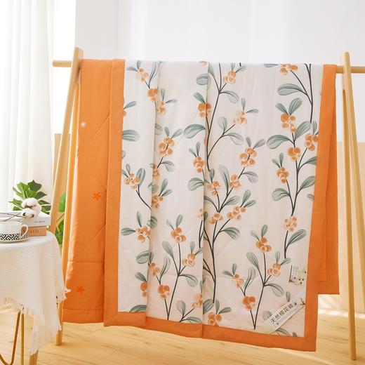 QYN-DNY棉花夏被里外双面纯棉夏凉被薄被可机洗单双人夏季被子全棉空调被 商品图7