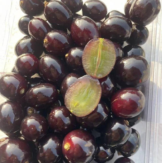 嘉宝果（蛟龙果），传说中的土豪之果，一果四味味道独特，集合了好几种水果的味道，营养价值极高，有丰富的蛋白质和维生素及各种微量元素，一盒450克，一组两盒 商品图0