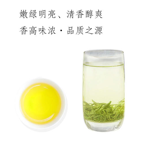 2025年新茶预售黄红缨有机贵州绿茶明前特级250g散装绿茶叶高山春茶 商品图1