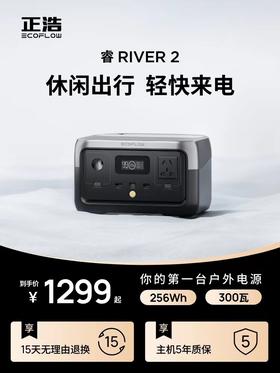 EcoFlow正浩睿2户外移动电源220v便携大功率室外停电备用磷酸铁锂电源家用