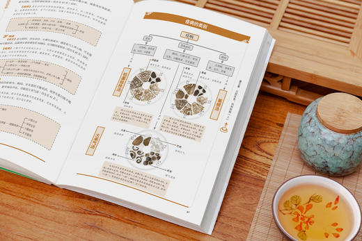 白话版：图解金匮要略   张仲景著，王羽嘉编著 商品图10