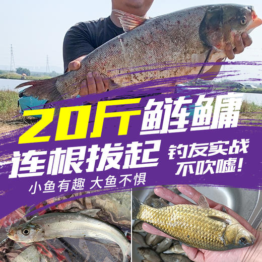 伽玛精工刚炼旗舰版鱼竿19调高碳钓鱼竿超轻手竿威海综合竿渔具综合竿 商品图1