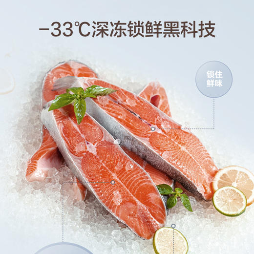 GREE 格力 晶弘 600升 对开门冰箱 智能全变频 风冷无霜 -33℃深冻 一级能效 离子净味 BCD-600WPDCZ/星韵紫 商品图2