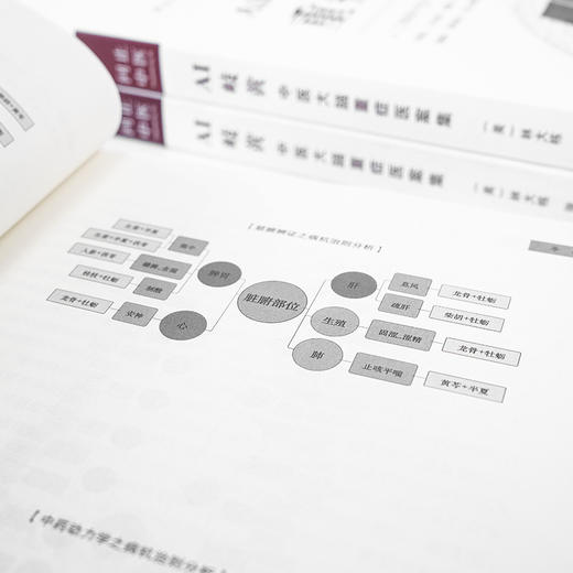 AI岐黄——中医大脑重症医案集 商品图2