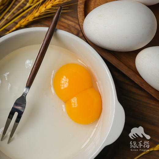 生态鹅蛋 | 合作生产*Eco- oose egg | Coproductiong 商品图2