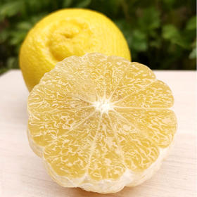 春香柚（4月底下市）