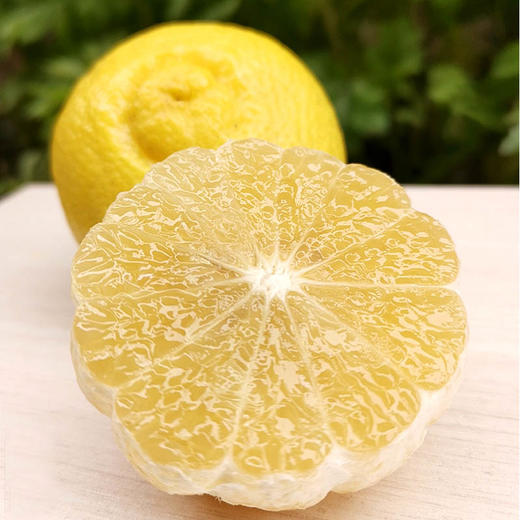 春香柚（4月底下市） 商品图0