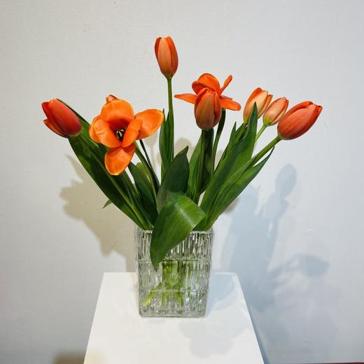 方形玻璃花瓶 1个（仅花瓶） 商品图4