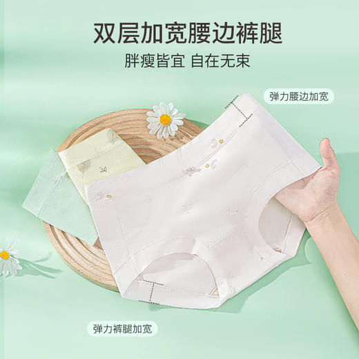 雅黛丽内裤女棉质薄款印花中腰短裤亲肤舒适高弹三角裤 商品图2