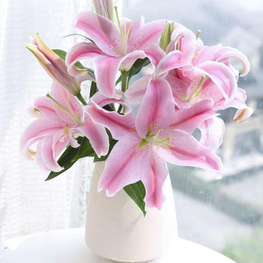 百合随机色3枝 商品图4