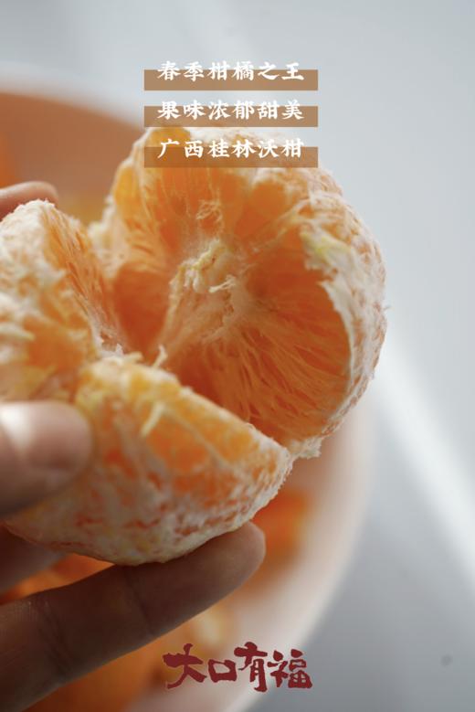 【春季柑橘挚爱 爆汁小炸弹 】2025新产季 不打药的桂林沃柑 柑橘爆汁小炸弹 商品图2